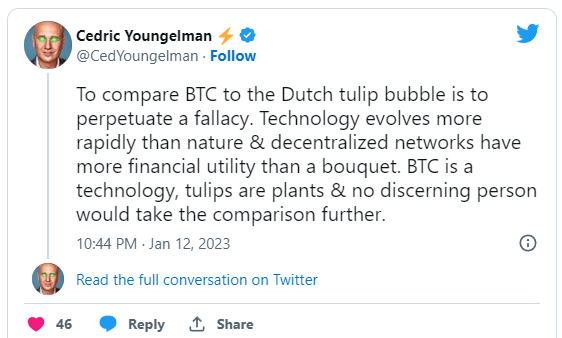tulip bubble tweet